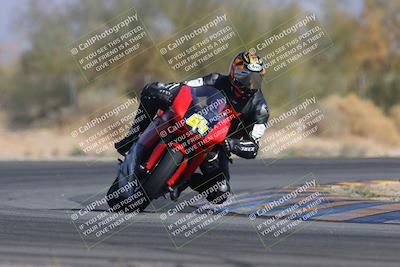 media/Feb-04-2023-SoCal Trackdays (Sat) [[8a776bf2c3]]/Turn 2 (1140am)/